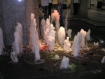 DSCN0605