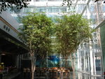室內公園
DSCN2586