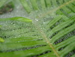 DSCN0959