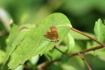 IMG_0057