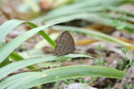IMG_0060