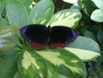 DSCN1209