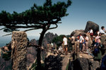 天刀峰
Huangshan8709-28
