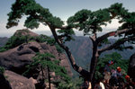 Huangshan8709-30