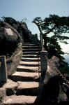 Huangshan8709-35