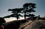 Huangshan8709a-04