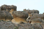 蕈
IMG_0432_1