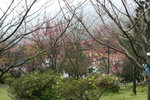 IMG_0454_1