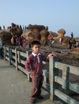 DSCN4343