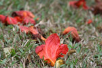 IMG_0535_1