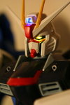 Freedom Gundam 1:60 (Lighted)
IMG_6140_1