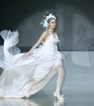 照片 228