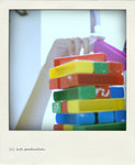 IMG_7168_pola