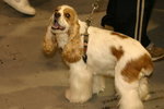 IMG_1373_resize