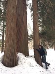 Mar 31 戶隱神社