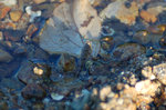 DSC_0456a