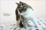 DSC_3059 (Large)