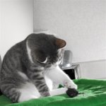 呀B老人痴呆了>