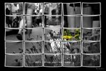 B&Big Picture by PanosFX (Large)