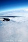 IMG_0305 (Large)