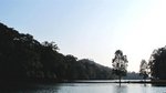 IMG_0437 (Large)