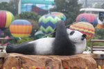 IMG_0439a