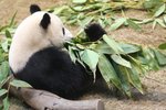 IMG_0497a