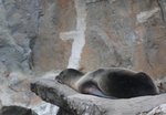IMG_0529a