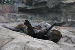 IMG_0530a