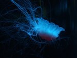 IMG_0615a