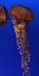 IMG_0630a