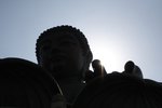 IMG_0841a
