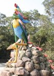 IMG_0954a