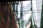 IMG_1213a