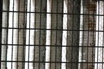 IMG_1238a