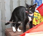 IMG_1708a