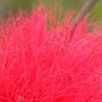 IMG_1741a
