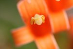 IMG_1749a