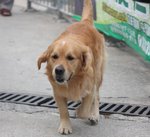 IMG_1756a