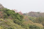 IMG_1759a