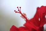 IMG_1788a
