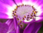 IMG_1831a