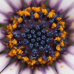 IMG_1842a