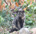 IMG_1863a
