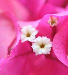 IMG_1930a
