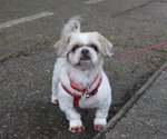 IMG_2884a