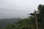 IMG_2913a