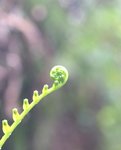 IMG_2922a