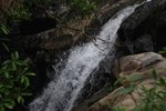 IMG_2933a