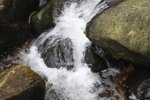 IMG_2993a
